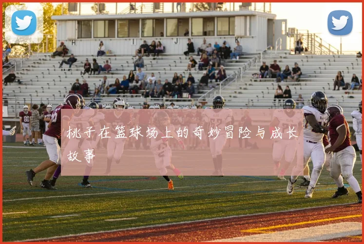 桃子在篮球场上的奇妙冒险与成长故事