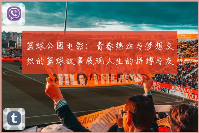 篮球公园电影：青春热血与梦想交织的篮球故事展现人生的拼搏与友谊