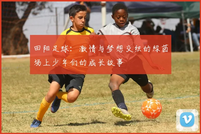 田阳足球：激情与梦想交织的绿茵场上少年们的成长故事
