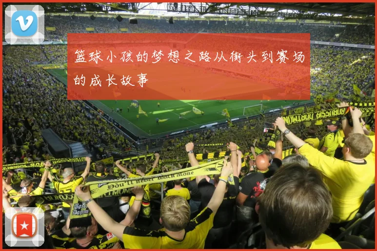 篮球小孩的梦想之路从街头到赛场的成长故事